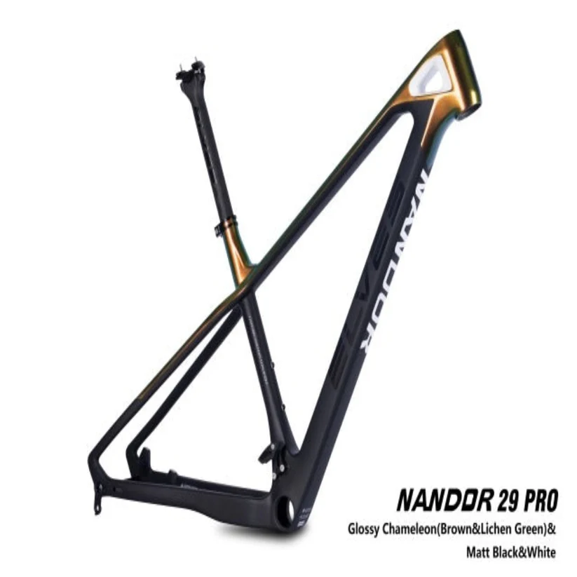 Hardtail Carbon Frame